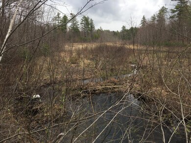 0 0 Spring Benson Rd unit 1489237, Newfield, ME 04095 - photo 5