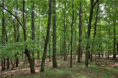 View of local wilderness