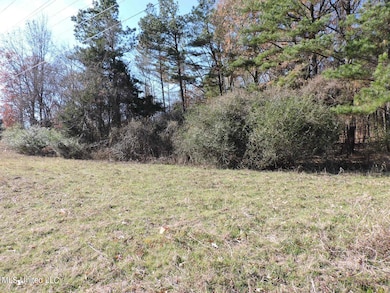 4875 Highway 305, Olive Branch, MS 38654 - photo 3