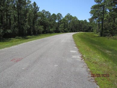 315 Gramercy Plantation Rd, Eastpoint, FL 32328 - photo 4