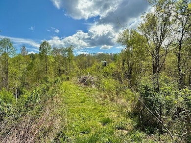 Tbd Edith Gouge Rd unit LotWP001, Unicoi, TN 37692 - photo 5