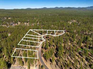 DJI_0362