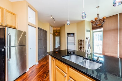 Lakeside Tower Condominiums unit 501, Chicago, IL 60616 - photo 7