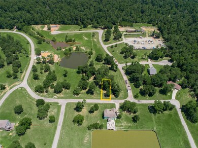 161 N Forest Dr, Huntsville, TX 77340 - photo 7