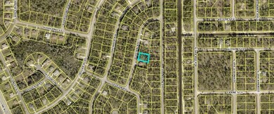 823 Gillian Ave, Lehigh Acres, FL 33974 - photo 2