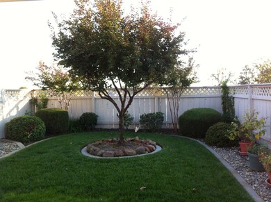 Nice Back Yard