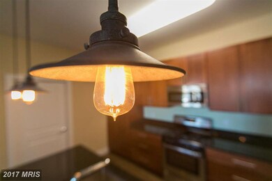 1201 N Charles St unit 2B, Baltimore, MD 21201 - photo 4