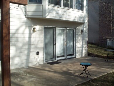 Shady Patio
