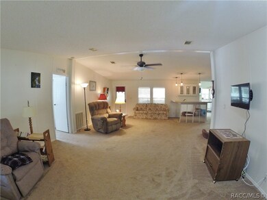 525 E Brandon St, Hernando, FL 34442 - photo 7