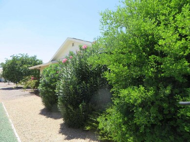 9913 W Caron Dr, Sun City, AZ 85351 - photo 2