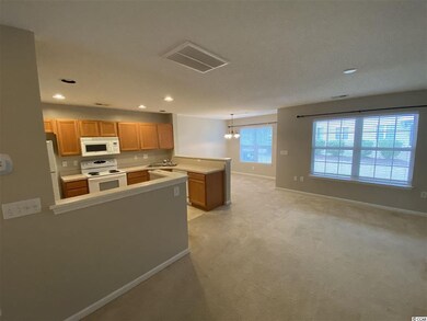 16 Ribgrass Ln unit 16-3, Pawleys Island, SC 29585 - photo 2