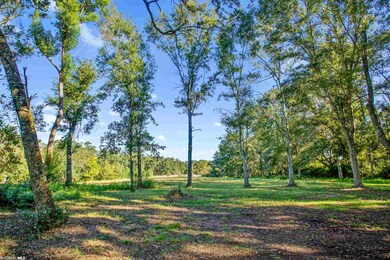 826 Aidan St, Fairhope, AL 36532 - photo 4