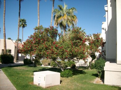 Lush Landscaping