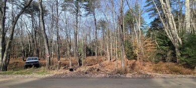 266 Berry River Rd unit 53-0001, Barrington, NH 03825 - photo 6