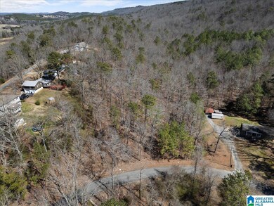 0 Oak Ridge Dr unit 21431508, Oneonta, AL 35121 - photo 5