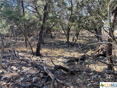 15896 Salado Dr, Temple, TX 76502 - photo 4