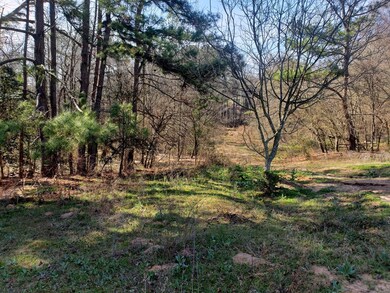 TBD County Road 153, Nacogdoches, TX 75965 - photo 2