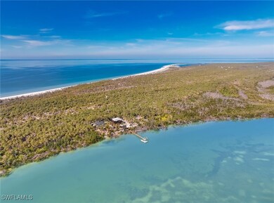 Drone / aerial view featuring a water view and a v