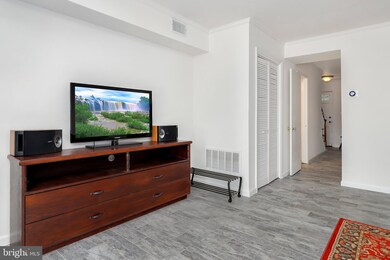 8386 Forrester Blvd unit 550, Springfield, VA 22152 - photo 5