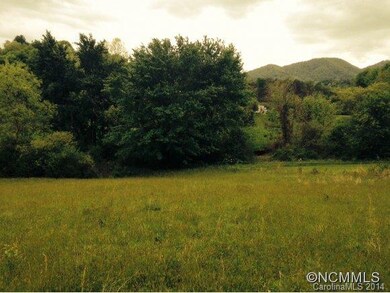 136 Bridges Family Dr, Asheville, NC 28806 - photo 6