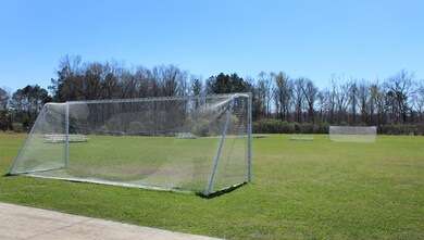 Spring Grove Plantation Field