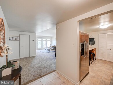 1040 Deer Ridge Dr unit 408, Baltimore, MD 21210 - photo 4