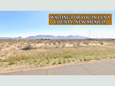 Deming Lun unit a New Mexico, Sunshine, NM 88030 - photo 7