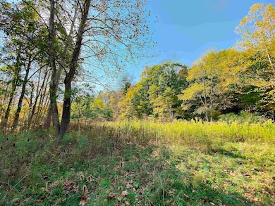 Lot 2 Blizzards Gate Rd, Harman, WV 26270 - photo 3