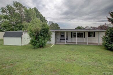Great lot