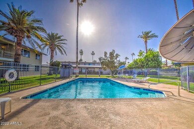 Americana Pool
