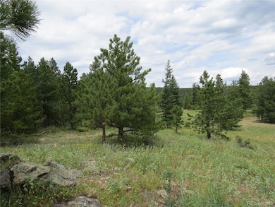 0 Peak To Peak Hwy unit REC2002177, Nederland, CO 80466 - photo 5