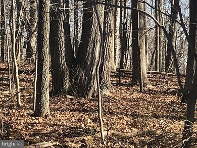 none Wilson Rd, Marshall, VA 20115 - photo 3