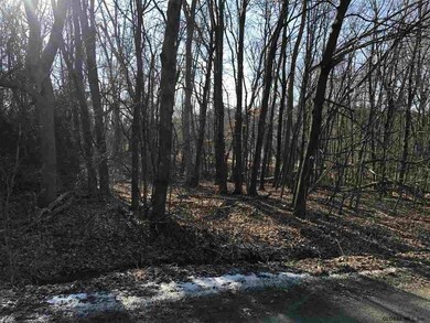 0 Black Cherry Ln unit 201811587, Troy, NY 12180 - photo 2