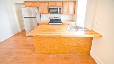 33 Blakeville St unit 1, Dorchester, MA 02121 - photo 5