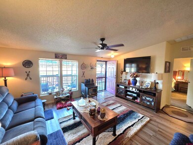 20020 Kenosha Rd, Austin, CO 81410 - photo 6