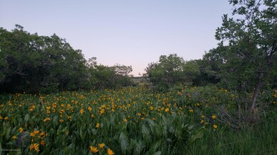 20200622_204617