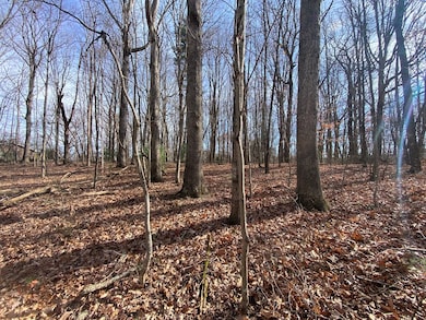 Lot 5 Ivanhoe Rd, Foster Falls, VA 24360 - photo 4