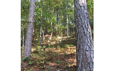 Additional View