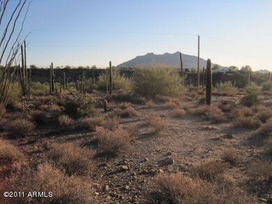 zimmerman_lot_008