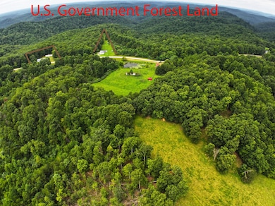 US Forest Land