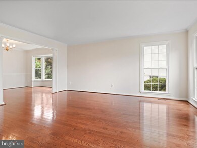 13603 Angelica Ct, Chantilly, VA 20151 - photo 7