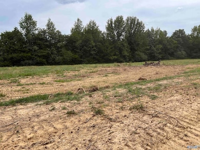 21208 Holland Rd, Athens, AL 35614 - photo 3
