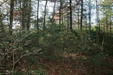 40 Via Pioli Rd, Kerhonkson, NY 12446 - photo 4