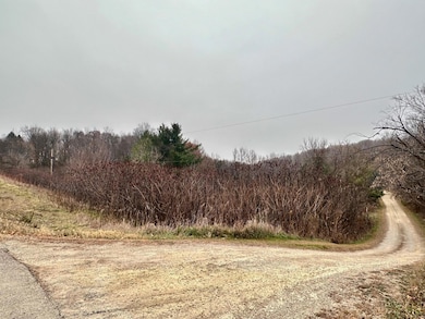 Lot 1 County Rd M, Clifton Township, WI 54022 - photo 4