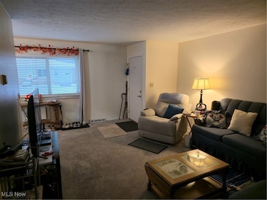 5651 Broadview Rd unit E5, Cleveland, OH 44134 - photo 3