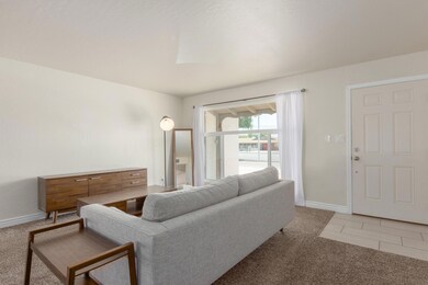 Beautiful Big Dual Pane Windows