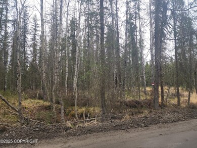 Tract K Byington Rd, Kasilof, AK 99610 - photo 4