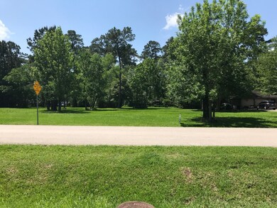 45, 46-A Basswood Dr, Spring, TX 77386 - photo 7