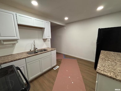 420 S 16th St, Springfield, IL 62703 - photo 4