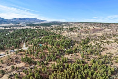 717 Zane Dr, Durango, CO 81303 - photo 7